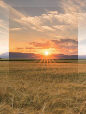 Hem Reverse GND Filter