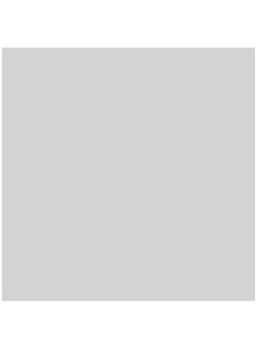 Illustration av ett polarisationsfilter
